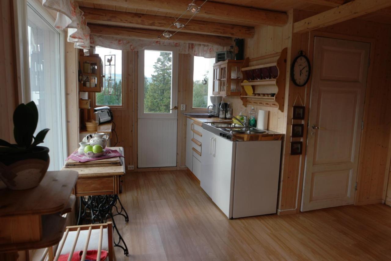 Vognbu Gran Nordre Apartment Snåsa Екстериор снимка